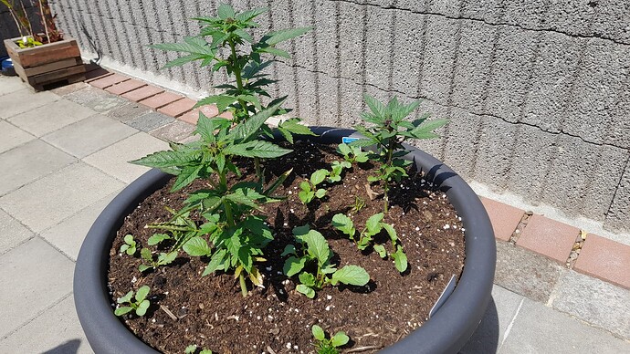 Growreport Bild 11