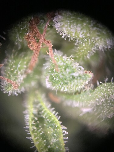 Growreport Bild 12