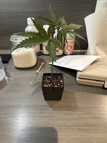 Growreport Bild 10