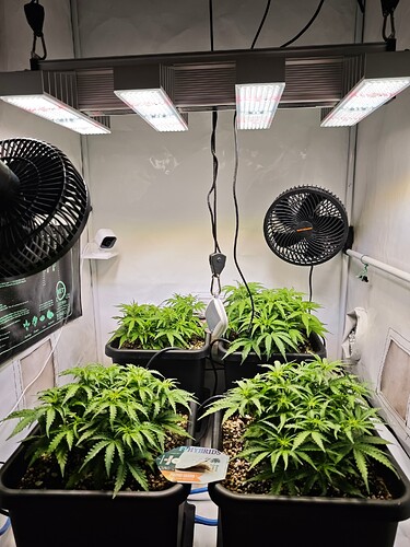 MVIMG_20251015_213326