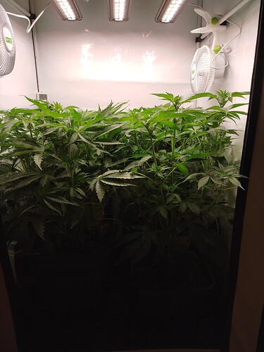 Growreport Bild 14