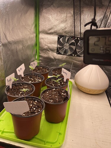 Growreport Bild 5