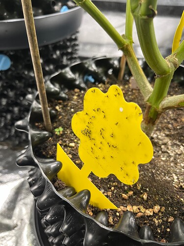 Growreport Bild 5