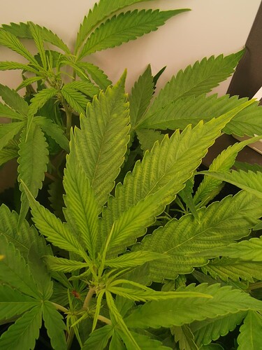Growreport Bild 3