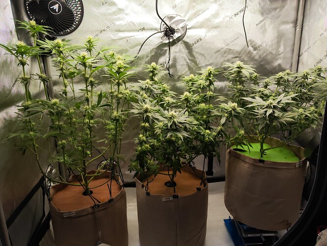 Growreport Bild 13