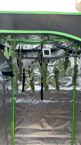 Growreport Bild 4