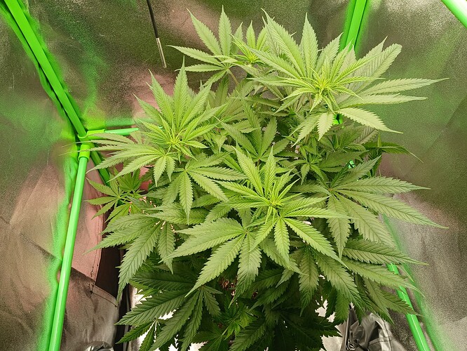 Growreport Bild 10