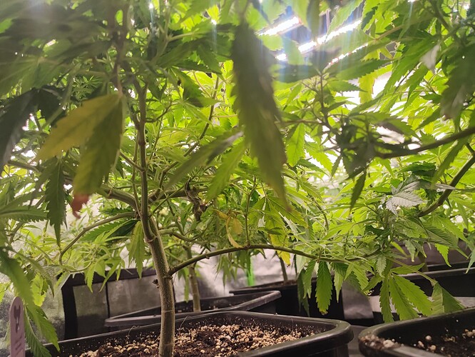 Growreport Bild 23