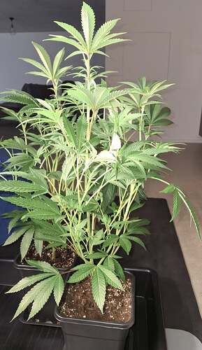 Growreport Bild 16