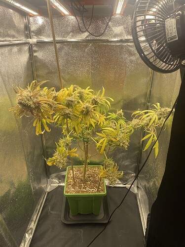 Growreport Bild 5