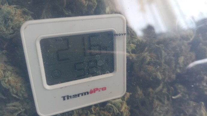 Growreport Bild 4