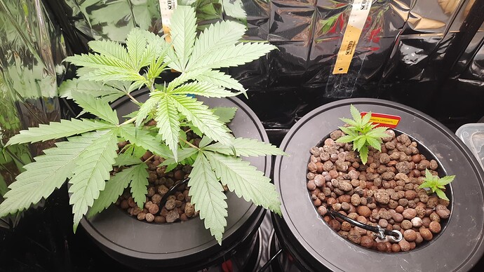 Growreport Bild 8