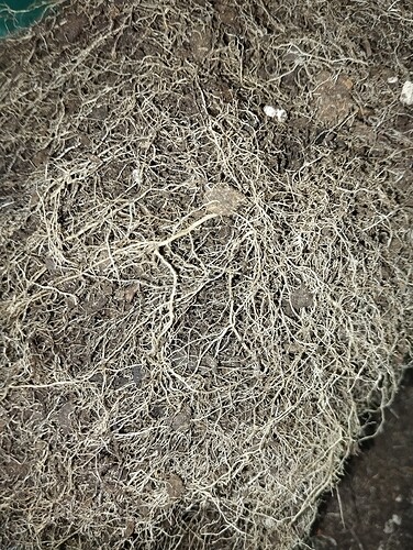 Growreport Bild 12