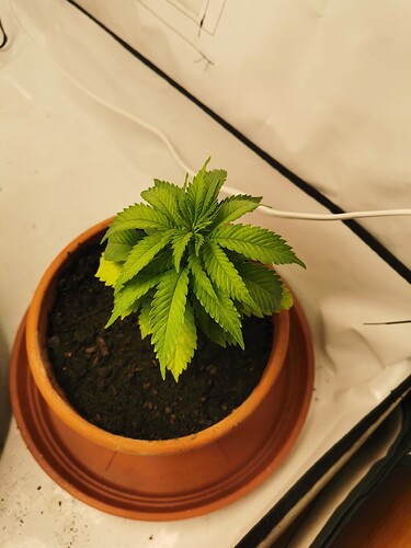 Growreport Bild 7