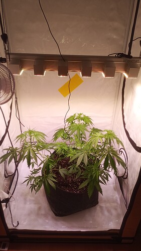 Growreport Bild 25