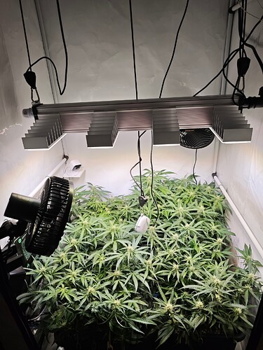 MVIMG_20251026_194019