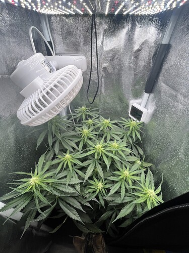 Growreport Bild 16