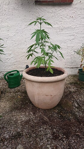 Growreport Bild 17