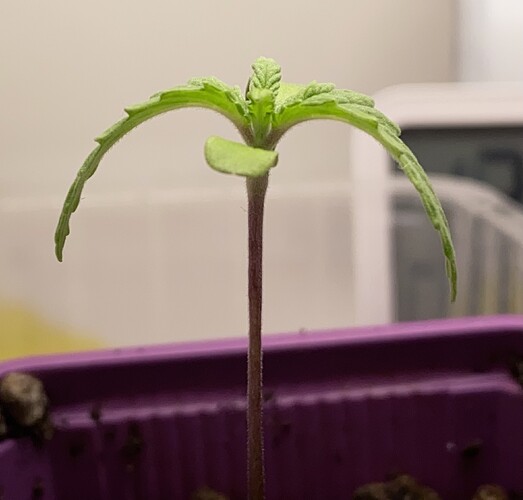 Growreport Bild 17