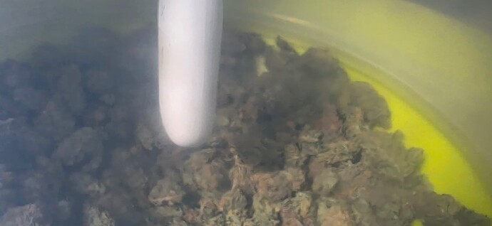 Growreport Bild 12