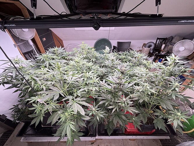 Growreport Bild 14