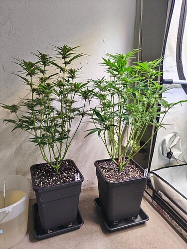 Growreport Bild 9