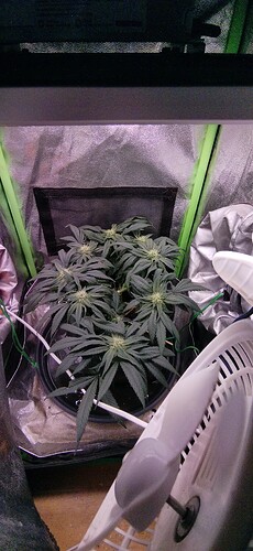 Growreport Bild 6