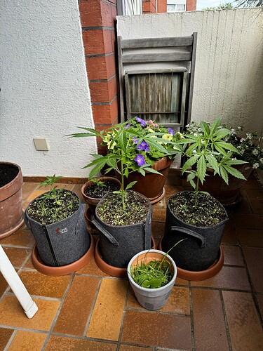 WhatsApp Image 2024-07-02 at 19.16.17