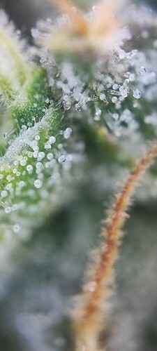 Growreport Bild 24
