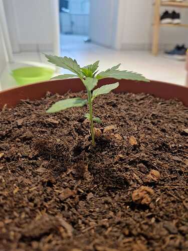 WhatsApp Image 2024-05-18 at 09.19.40 (1)