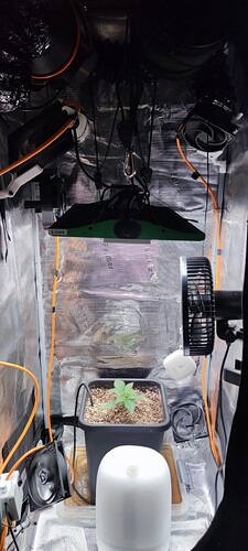 IMG_20250430_145805