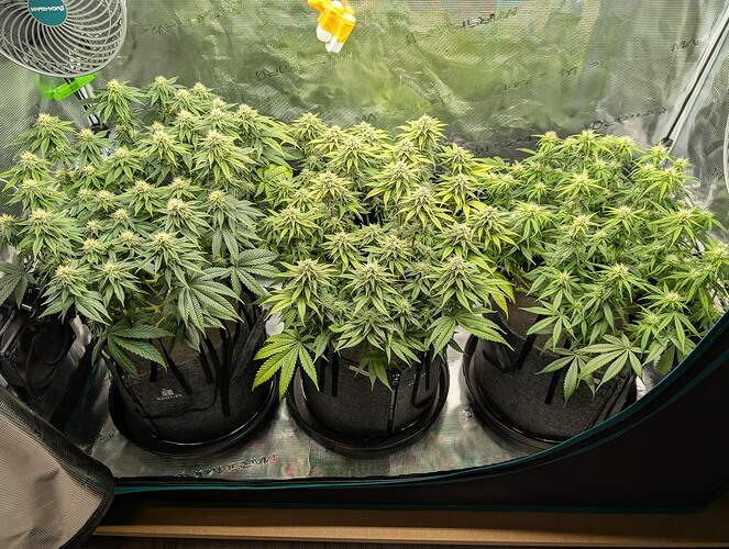 Growreport Bild 14