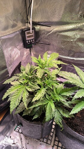 Growreport Bild 20