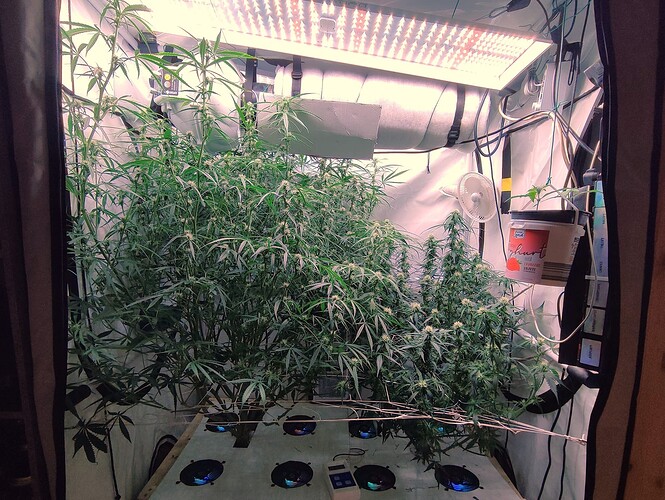 Growreport Bild 8