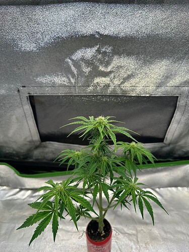Growreport Bild 14