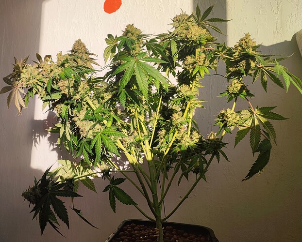 Growreport Bild 2