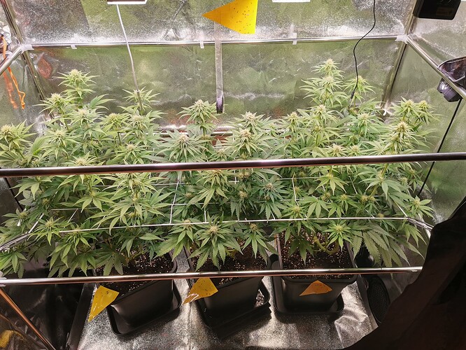 Growreport Bild 10