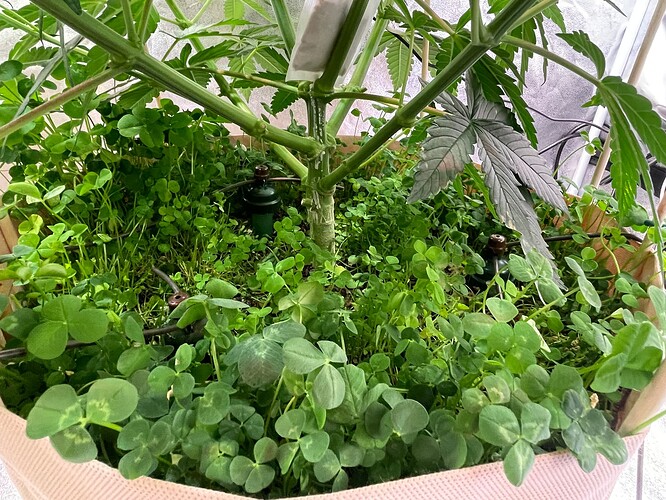 Growreport Bild 7