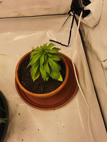 Growreport Bild 15