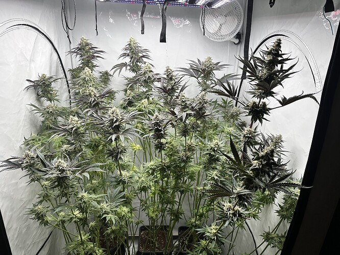 Growreport Bild 2