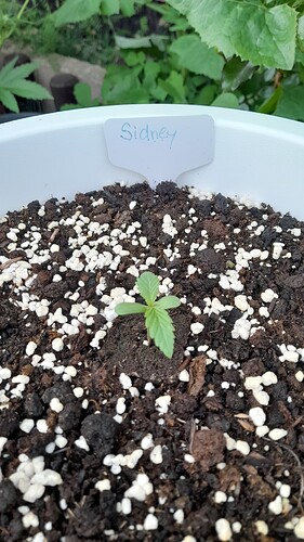 Growreport Bild 22