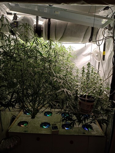Growreport Bild 5