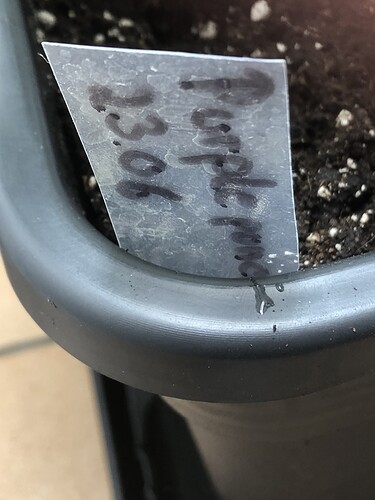 Growreport Bild 10