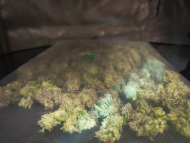 Growreport Bild 19