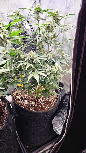 Growreport Bild 23