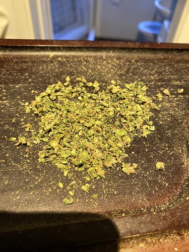 Growreport Bild 2