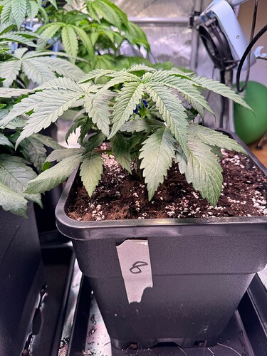 Growreport Bild 19