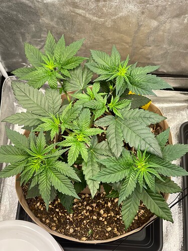 Growreport Bild 13