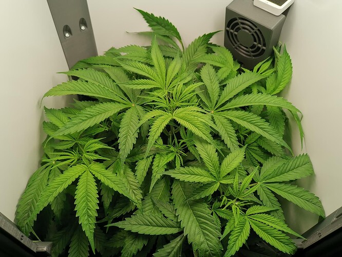 Growreport Bild 11