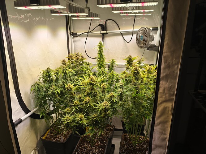 Growreport Bild 5